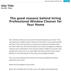 The good reasons behind hiring Professional Window Cleaner for Your Home – Site Title