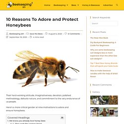 10 Reasons To Adore and Protect Honeybees