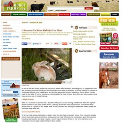 7 Reasons To Raise Rabbits For Meat