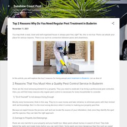 Top 2 Reasons Why Do You Need Regular Pest Treatment in Buderim