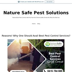 Reasons! Why One Should Avail Best Pest Control Services? – Nature Safe Pest Solutions