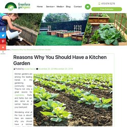 Reasons Why You Should Have a Kitchen Garden