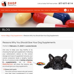 Reasons Why You Should Give Your Dog Supplements