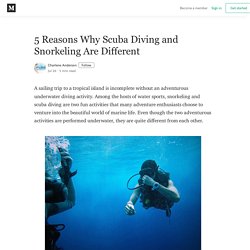 5 Reasons Why Scuba Diving and Snorkeling Are Different