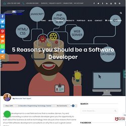 5 Reasons you Should be a Software Developer