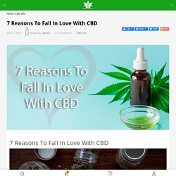 7 Reasons To Fall In Love With CBD