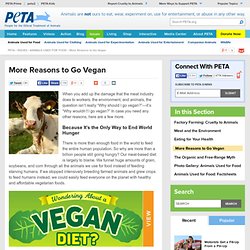 More Reasons to Go Vegan