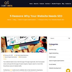 5 Reasons Why Your Website Needs SEO