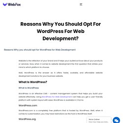 Reasons Why You Should Choose For WordPress For Web Development?