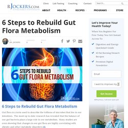 6 Steps to Rebuild Gut Flora Metabolism - DrJockers.com