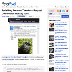Tech Blog Receives Takedown Request Over Photos Monkey Took