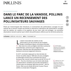 Dans le parc de la Vanoise, POLLINIS lance un recensement des pollinisateurs sauvages
