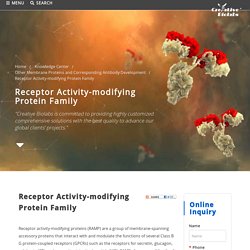 Receptor Activity-modifying Protein Family