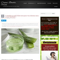 5 recettes au gel d'aloe vera pour nos cheveux secs: un pur bonheur !