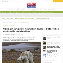 VIDEO. Cet ours polaire mourant est devenu le triste symbole du réchauffement climatique