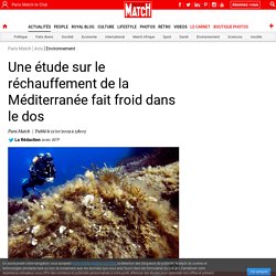Le réchauffement de la Méditerranée