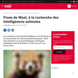 Frans de Waal, à la recherche des intelligences animales