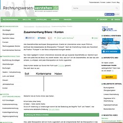 Rechnungswesen-verstehen.de