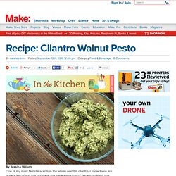 blog : Recipe: Cilantro Walnut Pesto