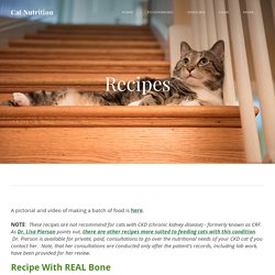 Recipes - Cat Nutrition