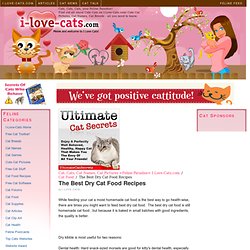 Cat, Cats, Cat Names, Cat Pictures =Feline Paradise= I-Love-Cats.com