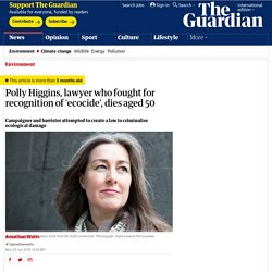 Polly Higgins, lawyer who fought for recognition of 'ecocide', dies aged 50