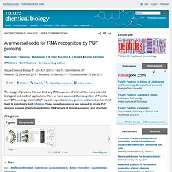 A universal code for RNA recognition by PUF proteins : Nature Chemical Biology