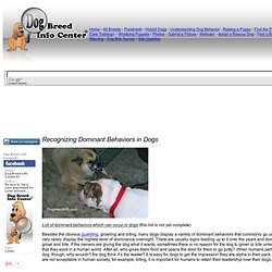 Recognizing Dominant Behaviors in Dogs