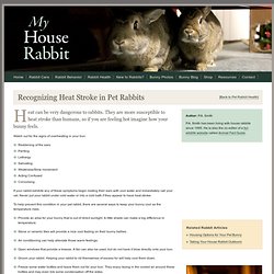 Recognizing Heat Stroke in Pet Rabbits - House Rabbit Health