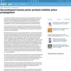 Recombinant human prion protein inhibits prion propagation
