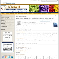 UNIVERSITY OF CALIFORNIA - Banane Plantain: Recommandations pour Maintenir la Qualité Après Récolte