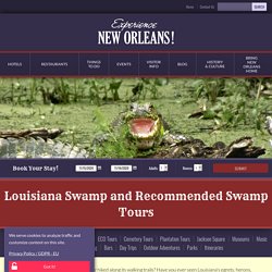 Visit The Swamps Of Louisiana