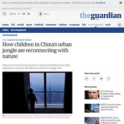How children in China's urban jungle are reconnecting with nature