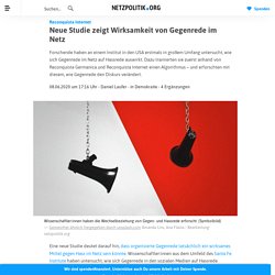 Reconquista Internet - Neue Studie zeigt Wirksamkeit von Gegenrede im Netz