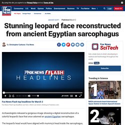 Stunning leopard face reconstructed from ancient Egyptian sarcophagus