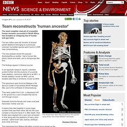 Team reconstructs 'human ancestor'