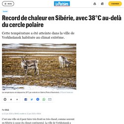 Record de chaleur en Sibérie, avec 38°C au-delà du cercle polaire