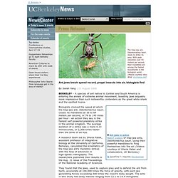 Social - 8.21.2006 - Ant jaws break speed record, propel insects into air, biologists find