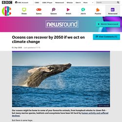Oceans can recover by 2050 if we act on climate change - CBBC Newsround