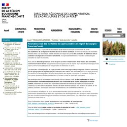 DRAAF BOURGOGNE FRANCHE COMTE 19/04/19 Recrudescence des mortalités de sapins pectinés en région Bourgogne – Franche-Comté