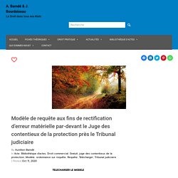 Modèle de requête aux fins de rectification d’erreur matérielle par-devant le Juge des contentieux de la protection près le Tribunal judiciaire – A. Bamdé & J. Bourdoiseau