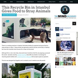 This Recycle Bin in Istanbul Gives Food to Stray Animals