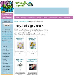 Recycled Egg Carton