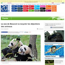 Le zoo de Beauval va recycler les déjections des animaux