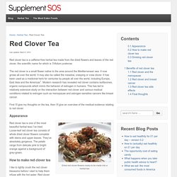 Red Clover Tea » Supplement SOS