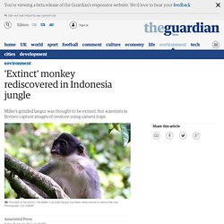 'Extinct' monkey rediscovered in Indonesia jungle