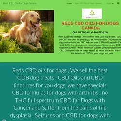 Reds CBD Oils for Dogs Canada