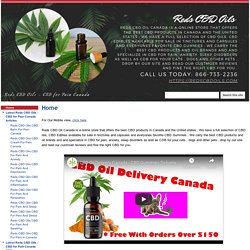 Reds CBD Oils - CBD for Pain Canada