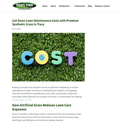 Reduce Lawn Care Costs with Synthetic Grass in Tracy