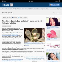 Need to reduce indoor pollution? House plants will help you with that - Health News